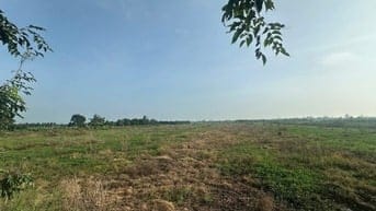 Bán 15 - 32 công đất (xã Láng Biển, Tháp Mười, Đồng Tháp)