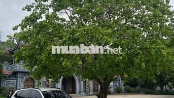BMW X3 2022 xDrive20i M Sport - 21000 km
