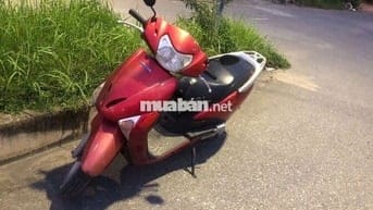 Xe Lead Honda 110cc