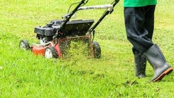 Bảo dưỡng cảnh quan định kỳ – Giữ mãi vẻ đẹp xanh cho công trình
