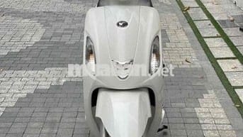 like 50cc không cần bằng lái