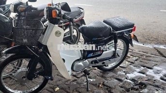 Xe Cub học sinh đã dọn mới