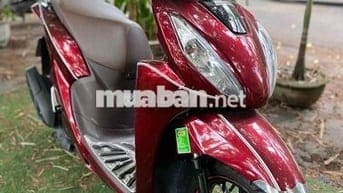 Xe Ga Vision 2024                               