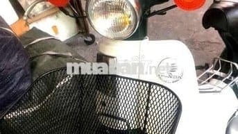 --- Cúp Nhật  81 màu xanh vỏ dưa rất đẹp