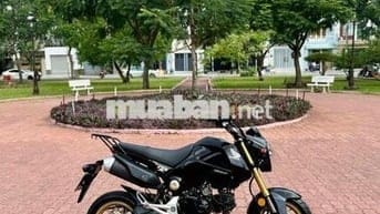 Moto Mini Honda Msx 125cc - Bstp