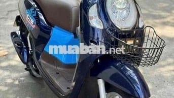 Bán xe scoopy 2024