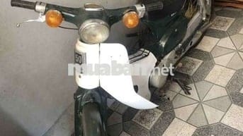 Xe cub như hình giá rẻ