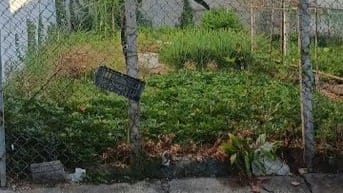 Bán đất Nguyễn Văn Tạo Nhà bè dtich 100m giá 1,9 ty 
