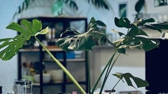 CHÍNH CHỦ SANG QUÁN CHAY FULL ĐỒ-VỊ TRÍ ĐẸP, CHỈ VIỆC VÀO BÁN NGAY