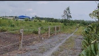 Đất vườn 2000m²=(20×100)m, sổ sẵn, tl 818 vào 500m,xe hơi trước đất.