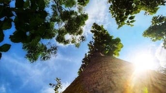Mảnh vườn đón gió lồng lộng từ hồ Trị An siêu trong lành, mát mẻ
