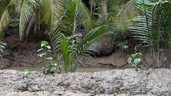 BÁN ĐẤT CÔNG NGHIỆP – 825M² (15x55) – CÁCH QL57 CHỈ 500M – ĐA PHƯỚC HỘ