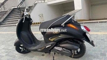 Thanh lý Elit 50cc học sinh chính hãng sym