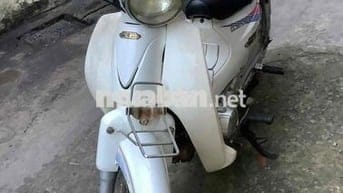 Cub 50 màu trắng cho học sinh đi học