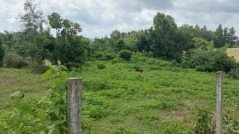 Cần bán đất châu dức, quý khách có nhu cầu liên hệ 0899511689