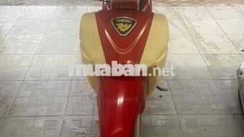 xibo full new