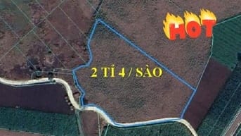 Bán đất 7390 m2 Chính Chủ - Xã Láng Dài -Bà Rịa Vũng Tàu