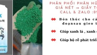 Phân bón hỗn hợp NPK 20-20-15+TE xanh lá canh cành 