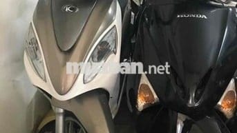kim cô 50 cc