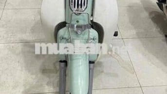 cup 50 cc