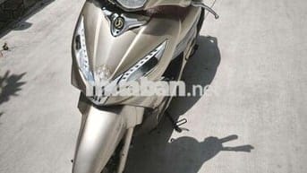 Shark 170cc 2 đĩa 9c
