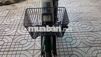xem xe tại nhà cub 86