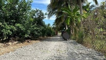 Bán Đất ấp Thạnh Hòa, Long Hưng, Châu Thành, Tiền Giang. 6,08x28= 170m