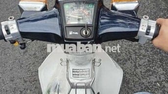 Cub 70