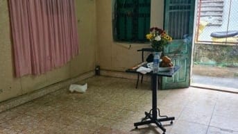 Bán nhà ngõ đường Điện Biên tp Nam Định 50m2, 1,350tỷ 