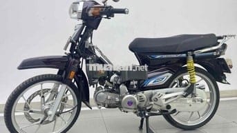 ban dream kiểng thái 2025