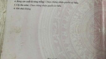 Bán đất ở sử dụng lâu dài tại thôn Yên Khê, xã Việt Hoà, Khoái Châu,