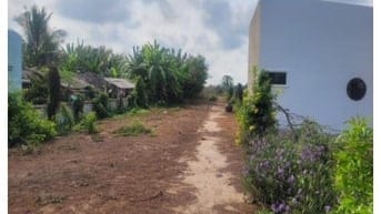 Công ty đấu giá hợp danh Sao Việt 