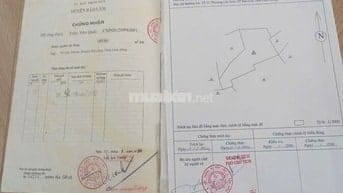 Chính chủ cần bán nhanh 7.800m2 đất vườn ngay núi Đại Bình Bảo Lộc