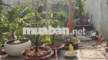 🔥🔥🔥 ĐẤT SỔ HỒNG RIÊNG 63m2 - XÂY DỰNG TỰ DO 🔥🔥🔥