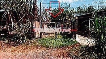 Bán ĐGTS đất tại phường An Tịnh, tỉnh Tây Ninh