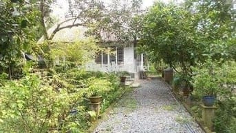 Đất sổ hồng riêng thành phố Đồng Xoài 1000m2 đất vườn