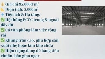 CHO THUÊ KHO 5.000M² – TRUNG TÂM THANH TRÌ