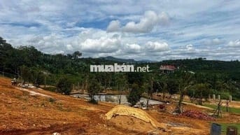 Đất Vườn Bảo Lộc View Đồi – Sổ Sẵn, Giá Cực Tốt!