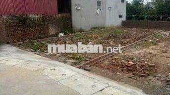 Bán đất thôn Đại Bái, xã Quang Minh, Mê Linh. Gần đường quốc lộ 23,