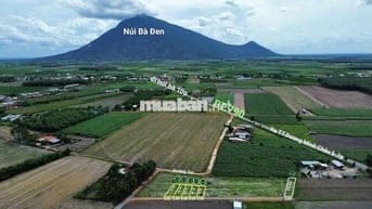 Đất Đẹp - Vị Trí Tiềm Năng - Xây Nhà Ở Hoặc Đầu Tư