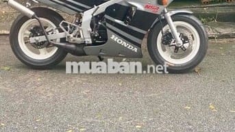 Nsr 50cc Cọp