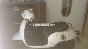 Xe tay ga Mono biển hà nội