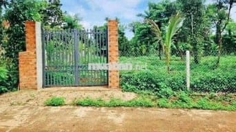 Chính chủ bán vườn 2500m2 có nhà cấp 4 ngay UBND Tân Hiệp - Bình Dương