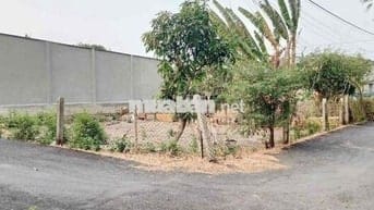 ĐẤT THỔ CƯ 225m2 GIÁ 600 TRIỆU SỔ HỒNG RIÊNG
