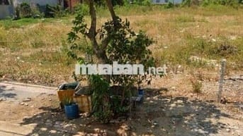 Chính chủ sang nhanh đất thổ cư 100m2, đường Ngô Gia Tự, BRVT, sổ sẵn