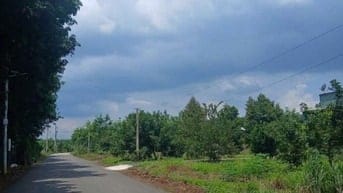 Cần Bán gấp lô vườn mít, 250m2, mặt tiền DH507, gần trường chợ