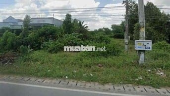 Đầu Tư Sinh Lời – Đất ĐT830 Long An – Giá Mềm