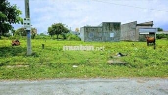 NỀN 100M KDC ĐÔNG PHÚ TP CẦN THƠ GIÁ TỐT CHO AC ĐẦU TƯ HOẶC XÂY NHÀ
