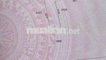 🔥 BÁN GẤP – ĐẤT MẶT TIỀN GẦN ĐƯỜNG HỒ CHÍ MINH – ĐẮK LẮK