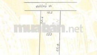 Bán Đất Nền Thổ Cư 253m2 khu vực Yên Nghĩa - Hà Đông gần Vành Đai 4